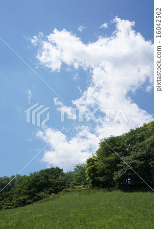 Spring of Tokyo Metropolitan Naganuma Park 16042502