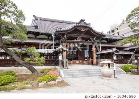 泉岳寺 泉岳寺 16043680