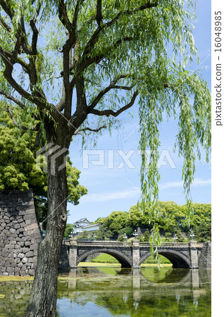 The Imperial Palace and Willow 16048985