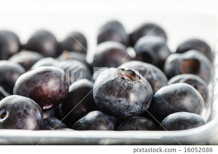 fresh blueberries 16052086