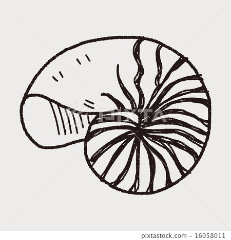 shell doodle shell doodle 16058011