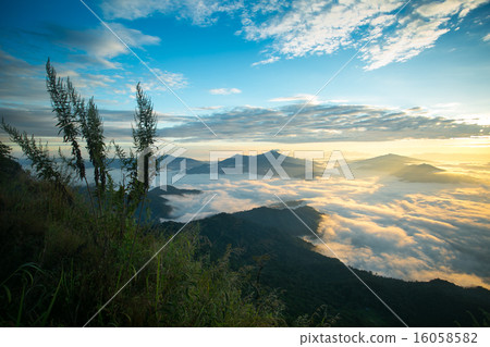 Mountain Pha Tang 16058582