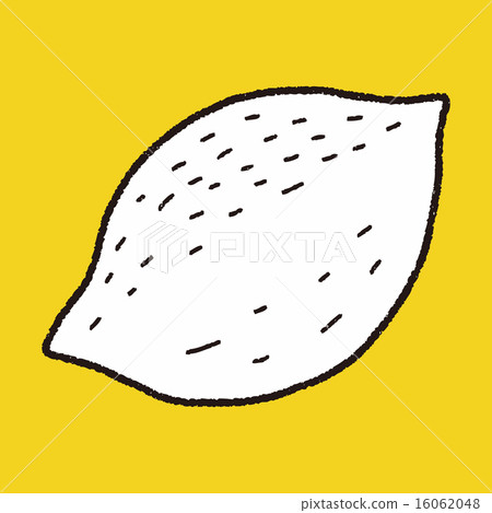 lemon doodle lemon doodle 16062048