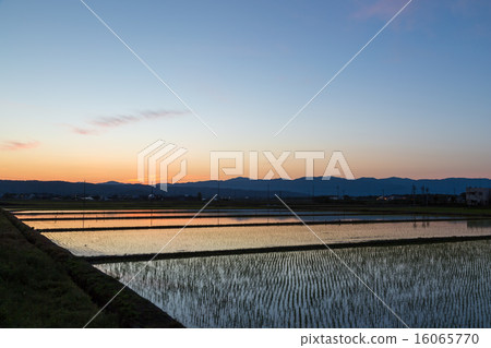 Rural landscape at dusk Rural landscape at dusk 16065770
