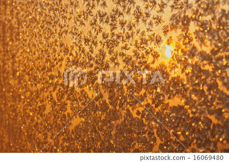 Snowflakes and ice on frozen window 16069480