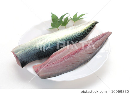 Three strips of mackerel Three strips of mackerel 16069880