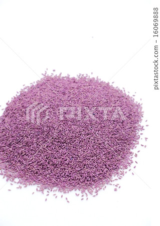 Lawn seed (Bermuda Grass · Riviera) 16069888