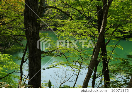 Twelve Lakes Wang Lake East Lake 16071575