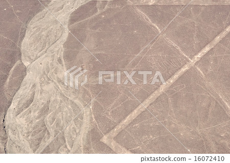 Landscape of Nazca Landscape of Nazca 16072410
