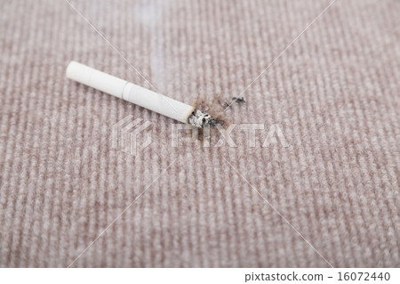 煙草的不幸 煙草的不幸 16072440