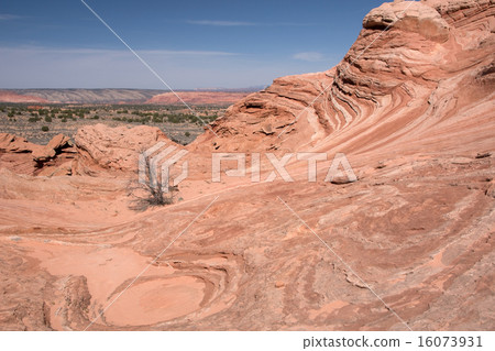 White Pocket Canyon, Arizona, USA 16073931