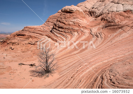 White Pocket Canyon, Arizona, USA 16073932