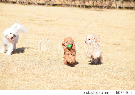 等等〜♪ 等等〜♪ 16074166