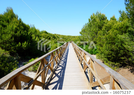 The way to beach at luxury hotel, Mallorca, Spain 16075237