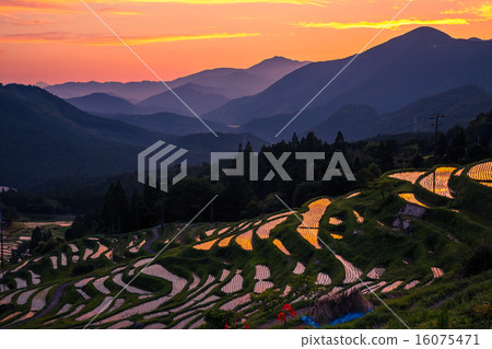  米大陽台晚上風景 16075471