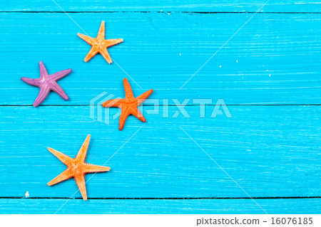 beach accessories 16076185