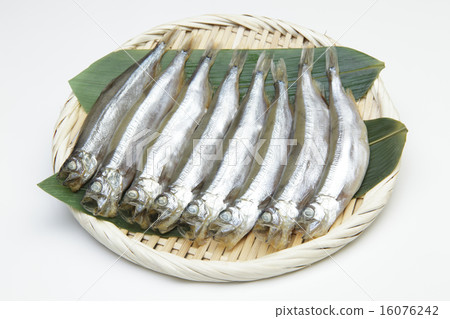 圓形乾燥的卡夫特茶碟 16076242