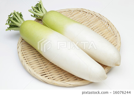 國內日本蘿蔔 16076244