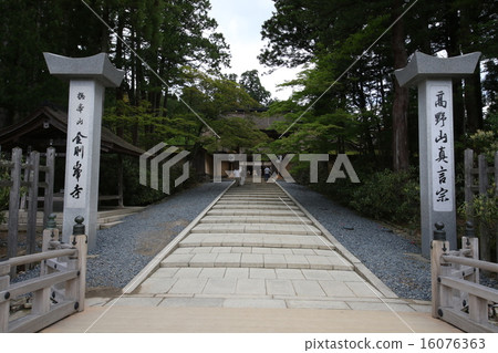 Kimuguminoji 16076363