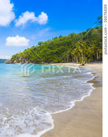 Tropical coastline of Nusa Penida island. 16076889