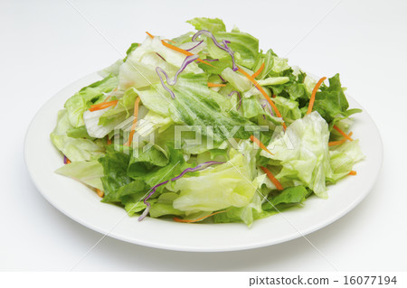 vegetable salad	 16077194