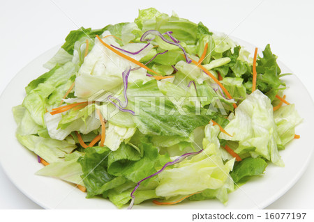 vegetable salad	 16077197