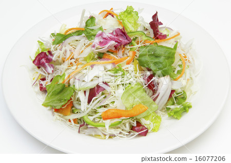 vegetable salad	 16077206