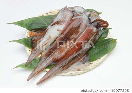 Raw yallica 16077208