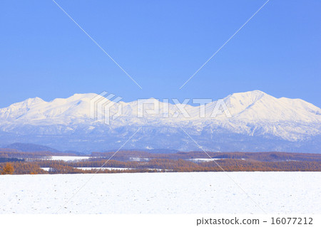 Hokkaido Biei Town First snow ground and Daisetsuyama 16077212