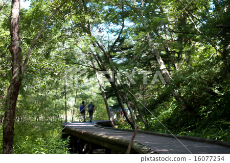 Kamikochi no Michi Kamikochi no Michi 16077254