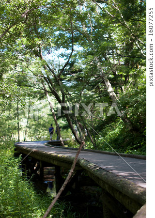 Kamikochi no Michi Kamikochi no Michi 16077255
