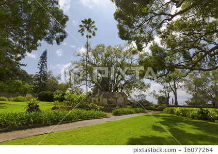 Urpalakua Plateau ~ Maui Green Urpalakua Plateau ~ Maui Green 16077264