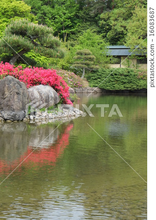 2015 Spring Harvest Plateau 24 16083687