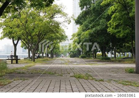 Green trail 1 in the city 1 16083861