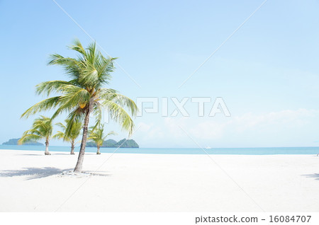 Everyday Private Beach 16084707