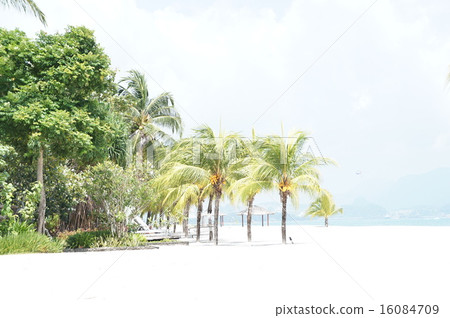 馬來西亞蘭卡威四季酒店的海灘 16084709