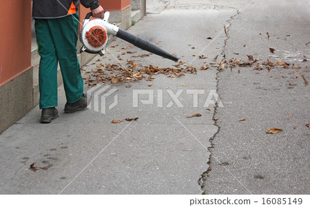 Collecting leaves Collecting leaves 16085149