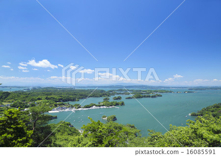 Okumotojima Otakori 16085591