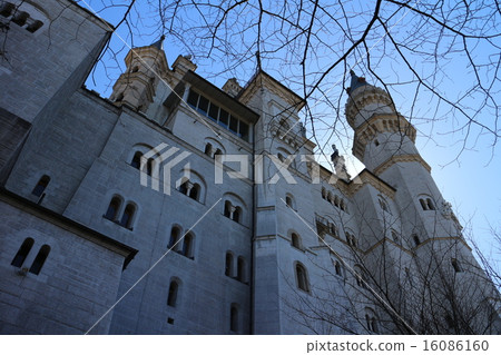 Neuschwanstein Castle 16086160