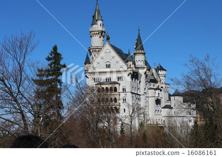 Neuschwanstein Castle 16086161