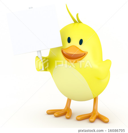 Little chick 16086705