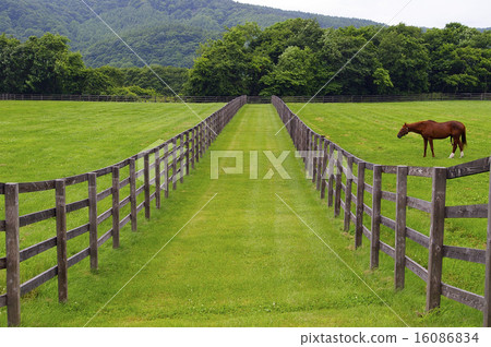 大紅農場景觀 16086834