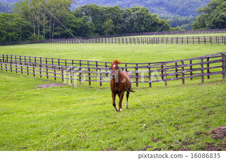 Big Red Farm landscape Big Red Farm landscape 16086835