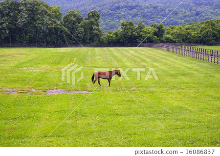 Big Red Farm landscape 16086837