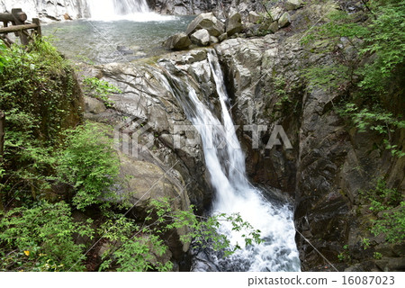 在Heiwado秋天的夫婦的瀑布 16087023