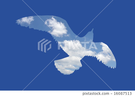 海鷗的剪影 海鷗的剪影 16087513