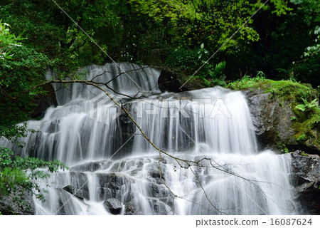 Shiraito瀑布 16087624