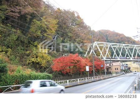 高尾山 16088238