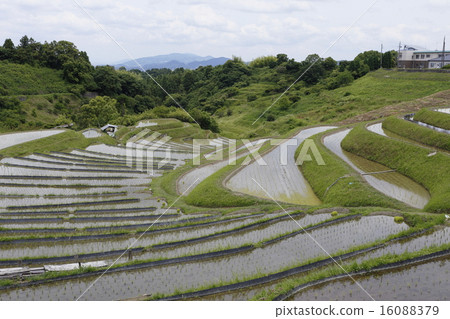 Rice terrace in Chihaya-okasaki village Rice terrace in Chihaya-okasaki village 16088379