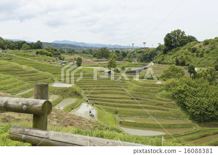 Chihaya-okasaki村的水稻露台 16088381